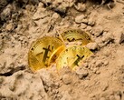 Intel will mit dem "Bonanza Mine" ASIC offenbar ins Bitcoin-Mining-Geschäft einsteigen, wie der Veranstaltungskalender der ISSCC zeigt. (Bild: Dmitry Demidko)
