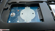 Auch ein freier mSATA-Port für eine SSD ist vorhanden.